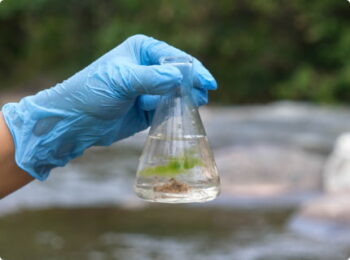 Close-up view of a hand in a latex glove holding a water sample bottle.